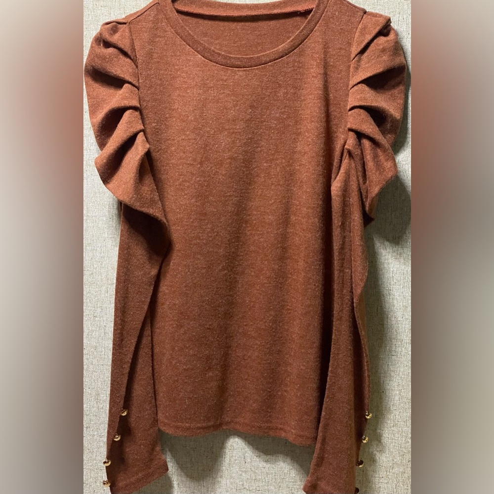 ✨Blouse Sz  M/L, very nice shape, In good condition, long puffed sleeve, brown✨